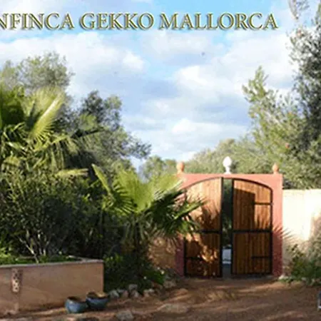 Ferienfinca Gekko Mallorca Ferienhaus *