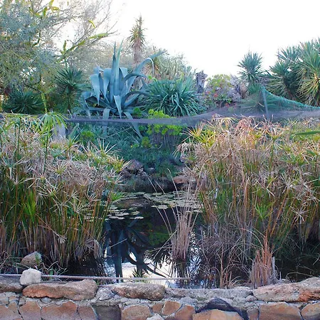 Ferienfinca Gekko Mallorca Ferienhaus Santanyí