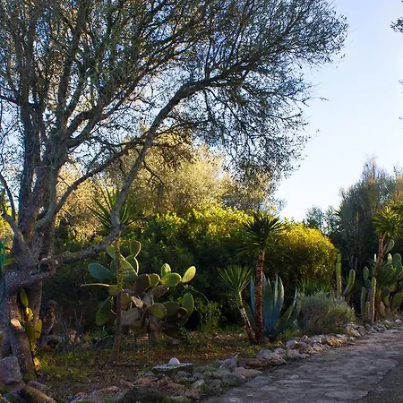 Ferienfinca Gekko Mallorca Ferienhaus *