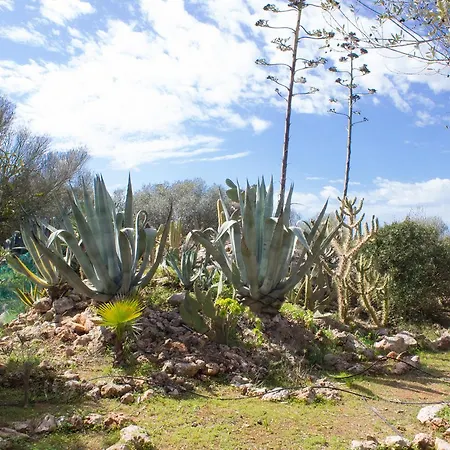 Ferienfinca Gekko Mallorca Santanyí